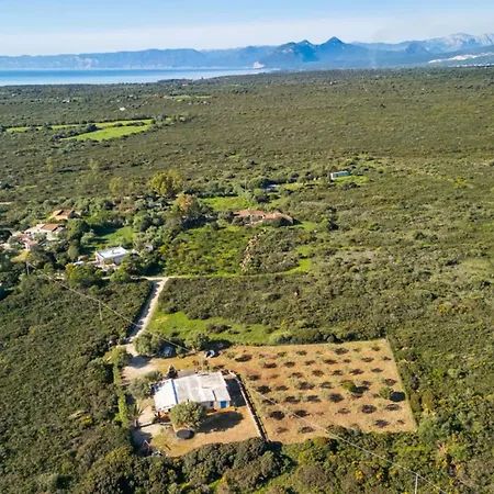 Lejlighed Authentic Sardinian Surrounded By Nature *