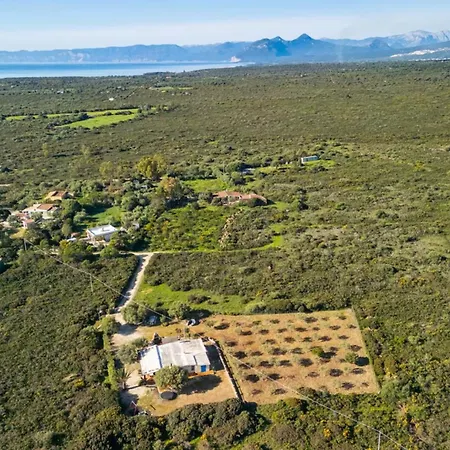 Apartment Authentic Sardinian Surrounded By Nature *