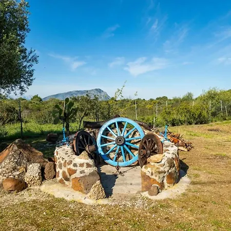 Authentic Sardinian Surrounded By Nature *